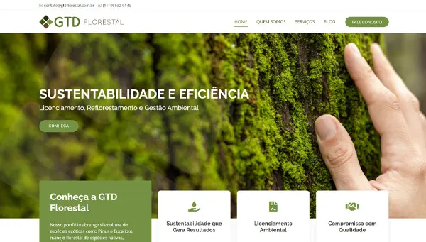 Página inicial do site GTD Florestal